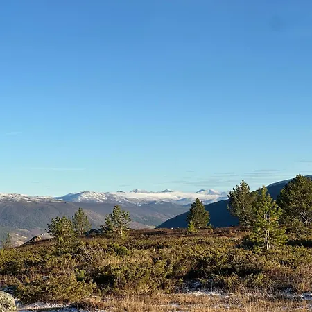 Ferienhaus Bottheimsætra Lesja