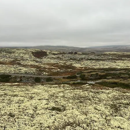 Bottheimsætra * Lesja