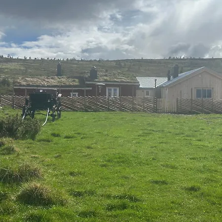 Bottheimsaetra Holiday home Lesja